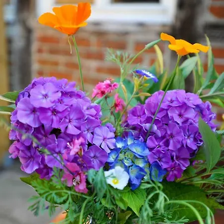 Beutower Muhle Beutow