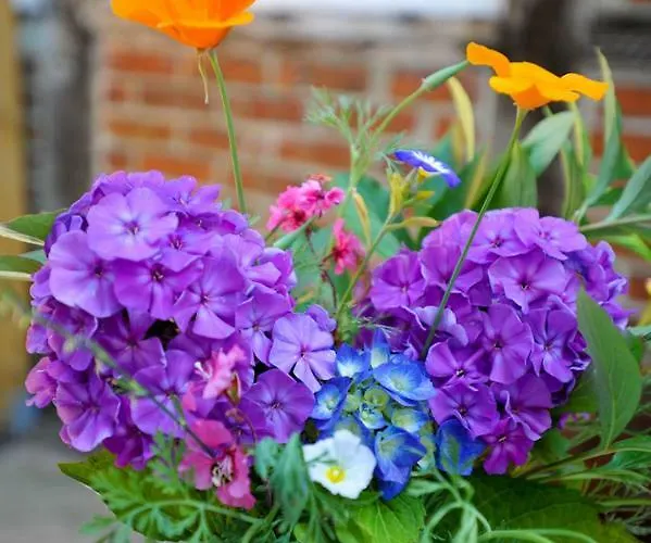 Beutower Muhle Beutow